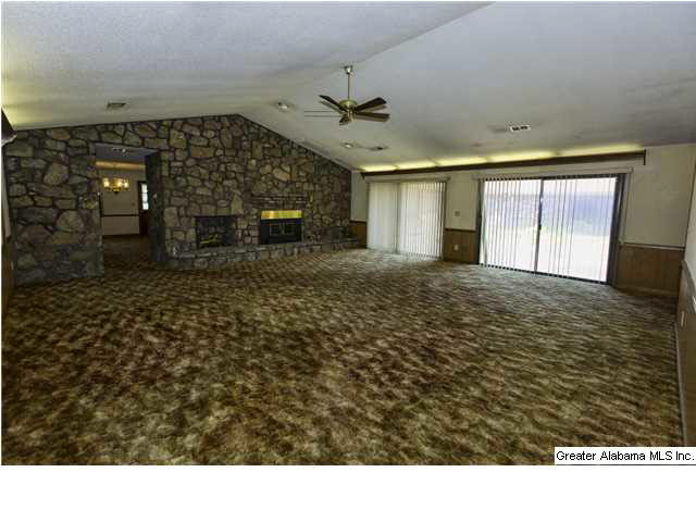 3706 Mt Olive Road Mount Olive, AL 35117 - Photo 7 of 20