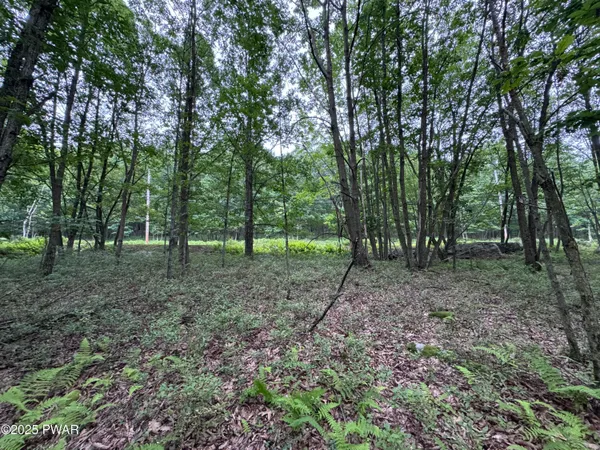 $5,000 | 244 Elderberry Lane, Sugarloaf, PA 18249