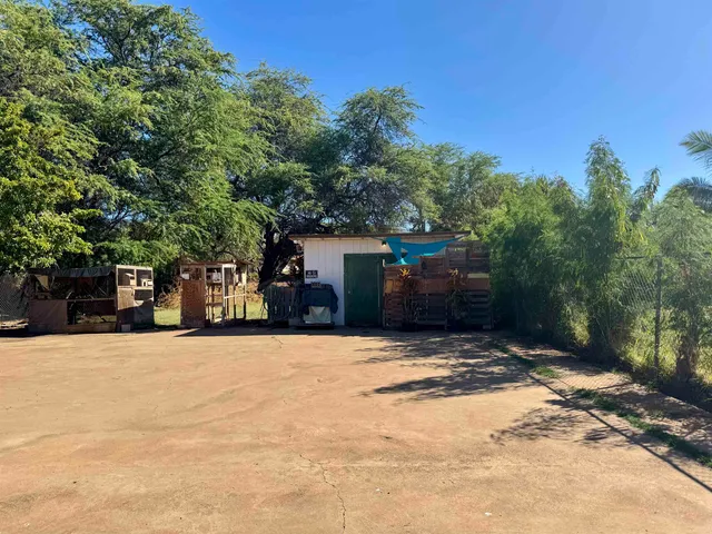 a tall house with trees in front of it