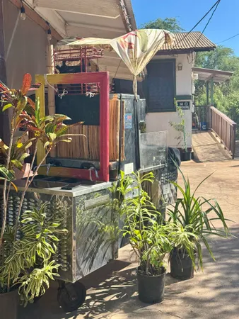 a view of a patio with table and chairs potted plants