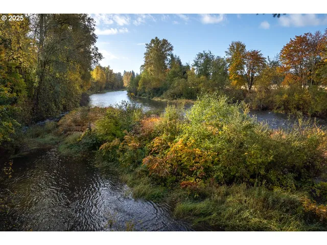 a view of lake view with tree