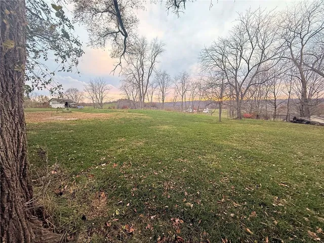 a view of a field with large trees