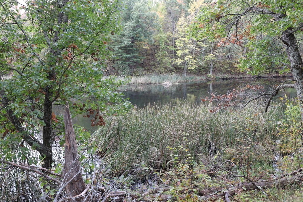 Xxx Normans Landing Road Webster, WI 54893 - Photo 2 of 16