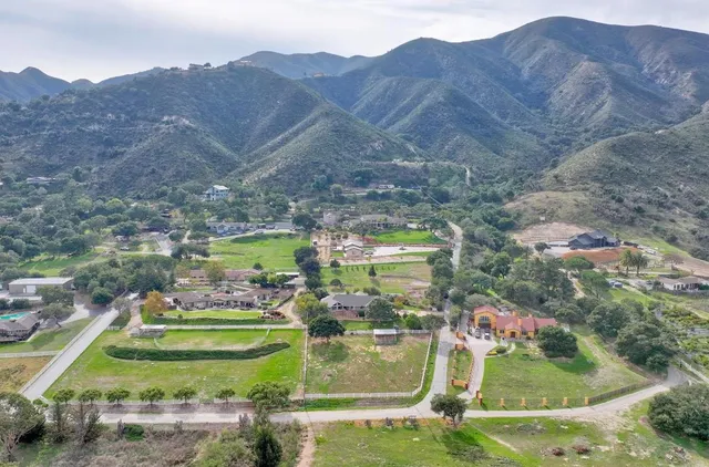 a view of a park with large trees