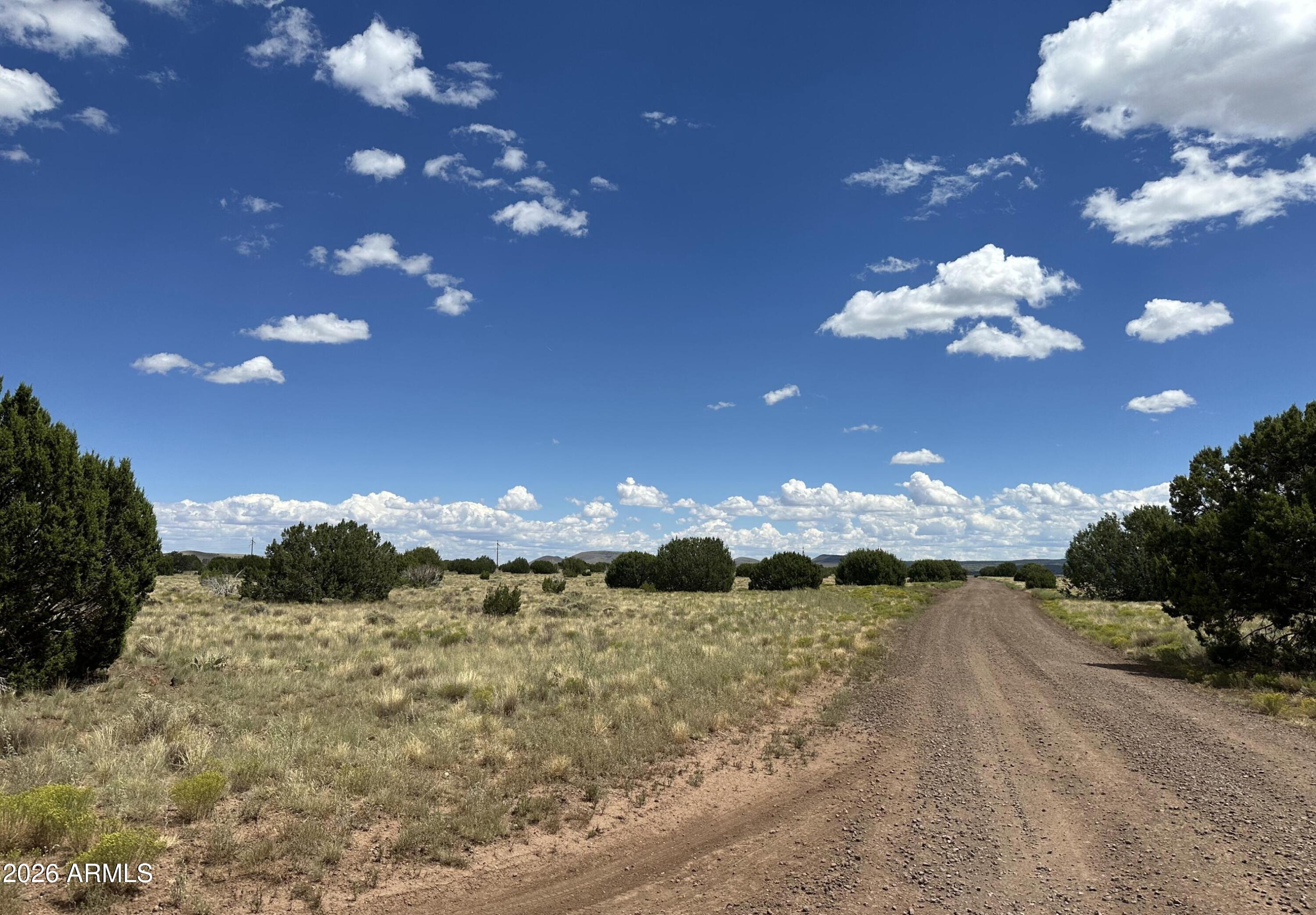 47 County Road Vernon, AZ 85940 - Photo 18 of 18 47 County Rd N3110