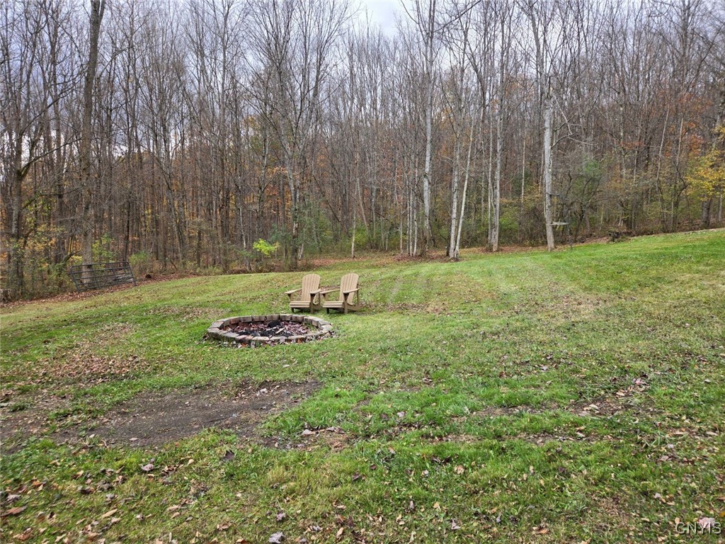 9409 Briggs Road New Hudson, NY 14727 - Photo 20 of 30