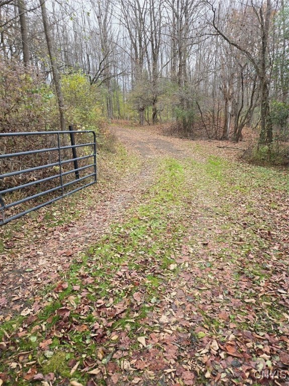 9409 Briggs Road New Hudson, NY 14727 - Photo 21 of 30