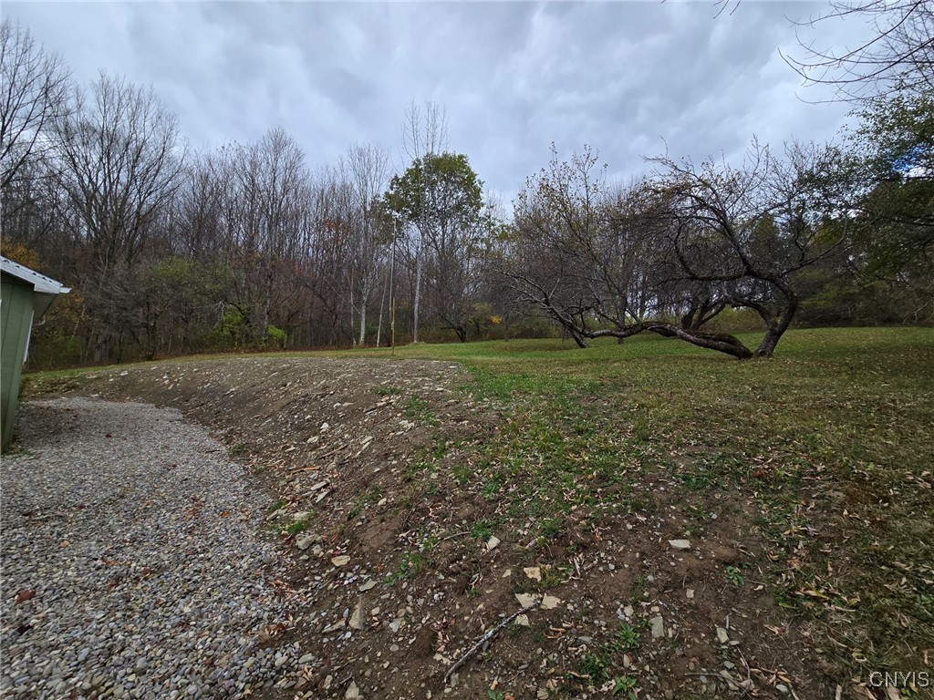 9409 Briggs Road New Hudson, NY 14727 - Photo 22 of 30