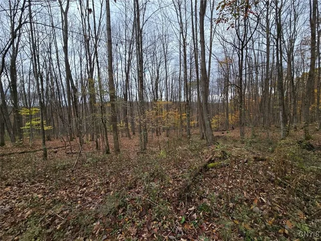 $138,900 | 9409 Briggs Road, New Hudson, NY 14727