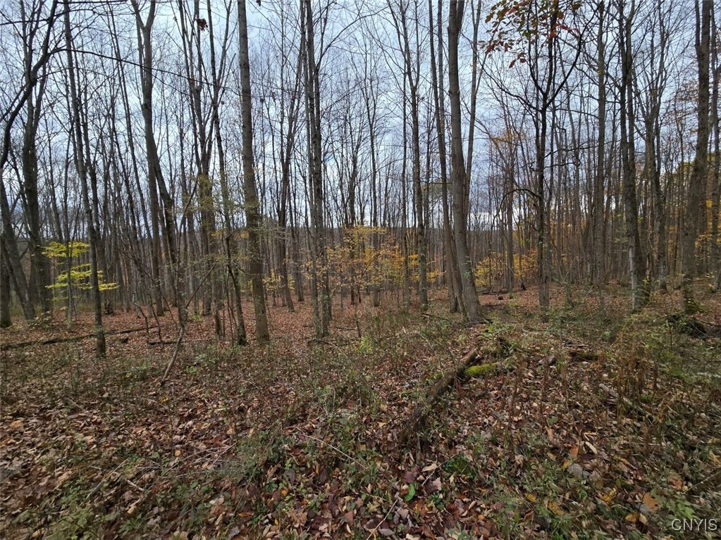 9409 Briggs Road New Hudson, NY 14727 - Photo 25 of 30