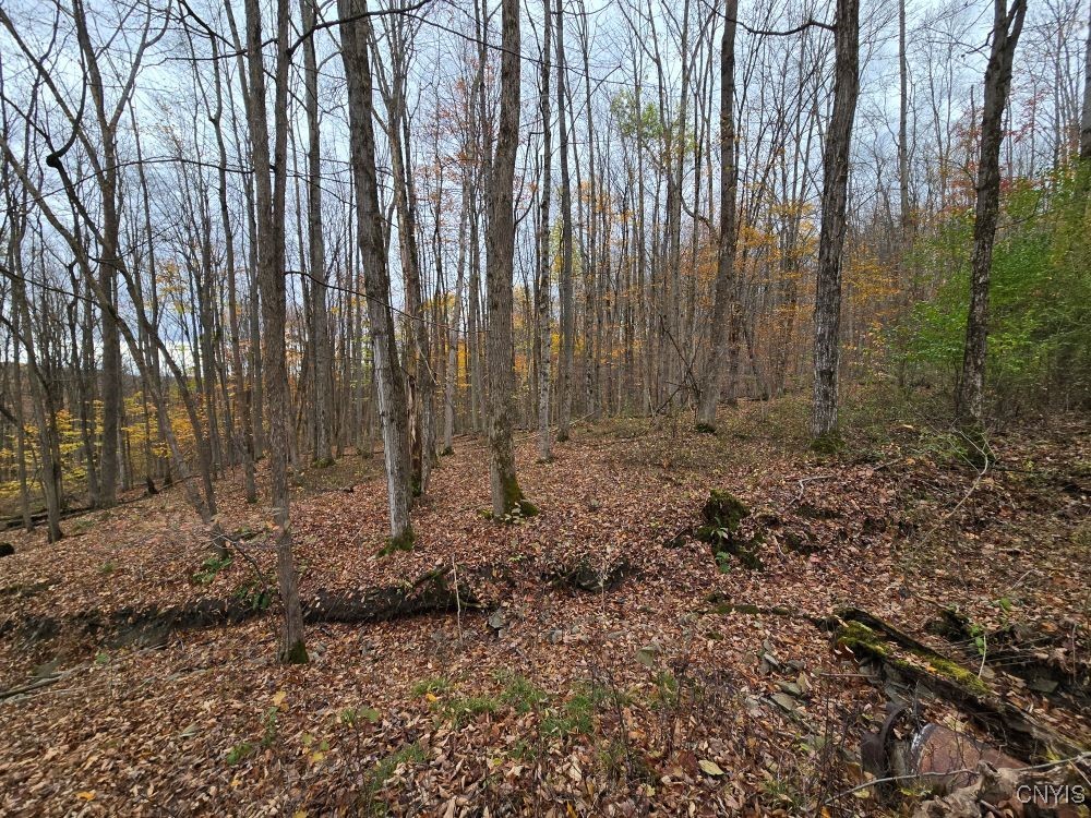 9409 Briggs Road New Hudson, NY 14727 - Photo 26 of 30