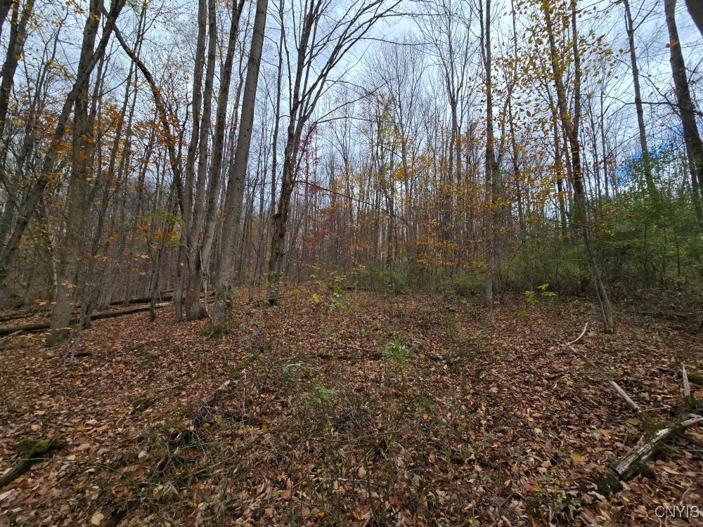 9409 Briggs Road New Hudson, NY 14727 - Photo 27 of 30