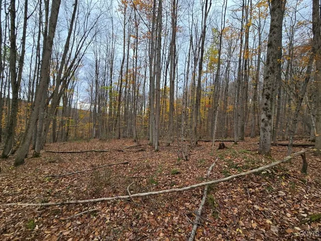 $138,900 | 9409 Briggs Road, New Hudson, NY 14727