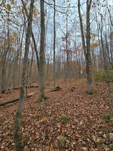 $138,900 | 9409 Briggs Road, New Hudson, NY 14727