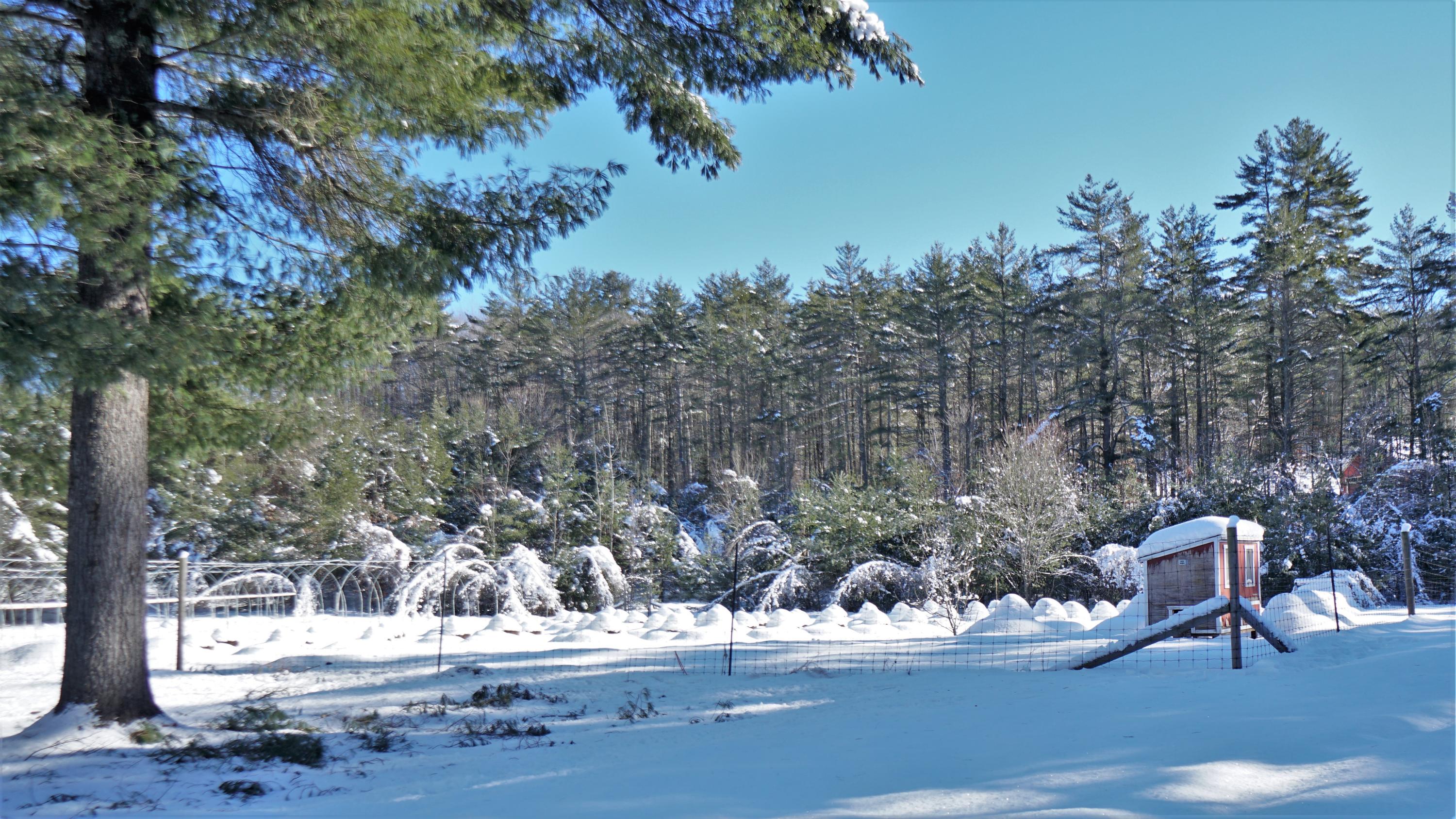 16 Wards Hill Road Hiram, ME 04041 - Photo 38 of 43 8 (1)
