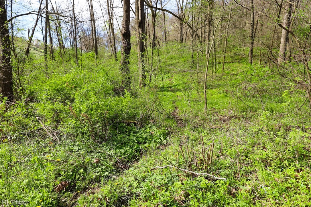 Jacks Run Road Quaker City, OH 43773 - Photo 21 of 50 Gallery Image 21