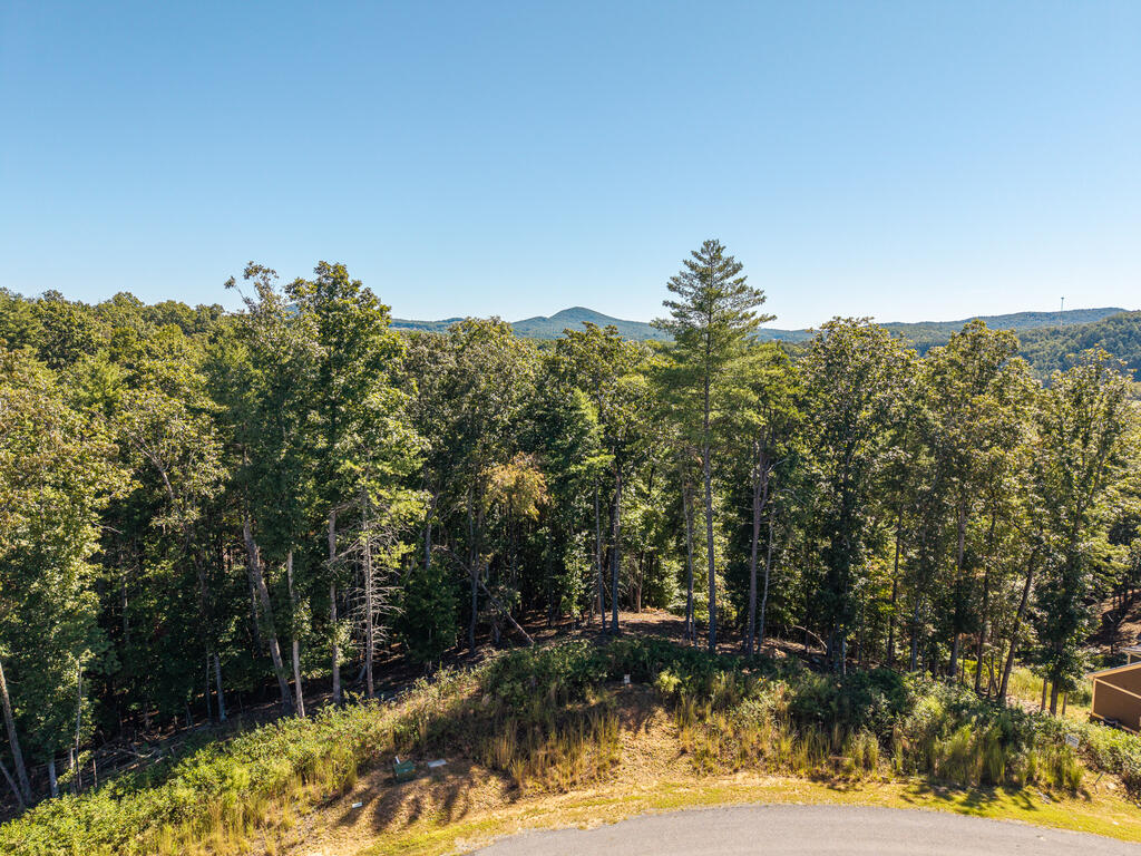 Lot 62 Ridge Drive Blue Ridge, GA 30513 - Photo 11 of 17 Gallery Image 11