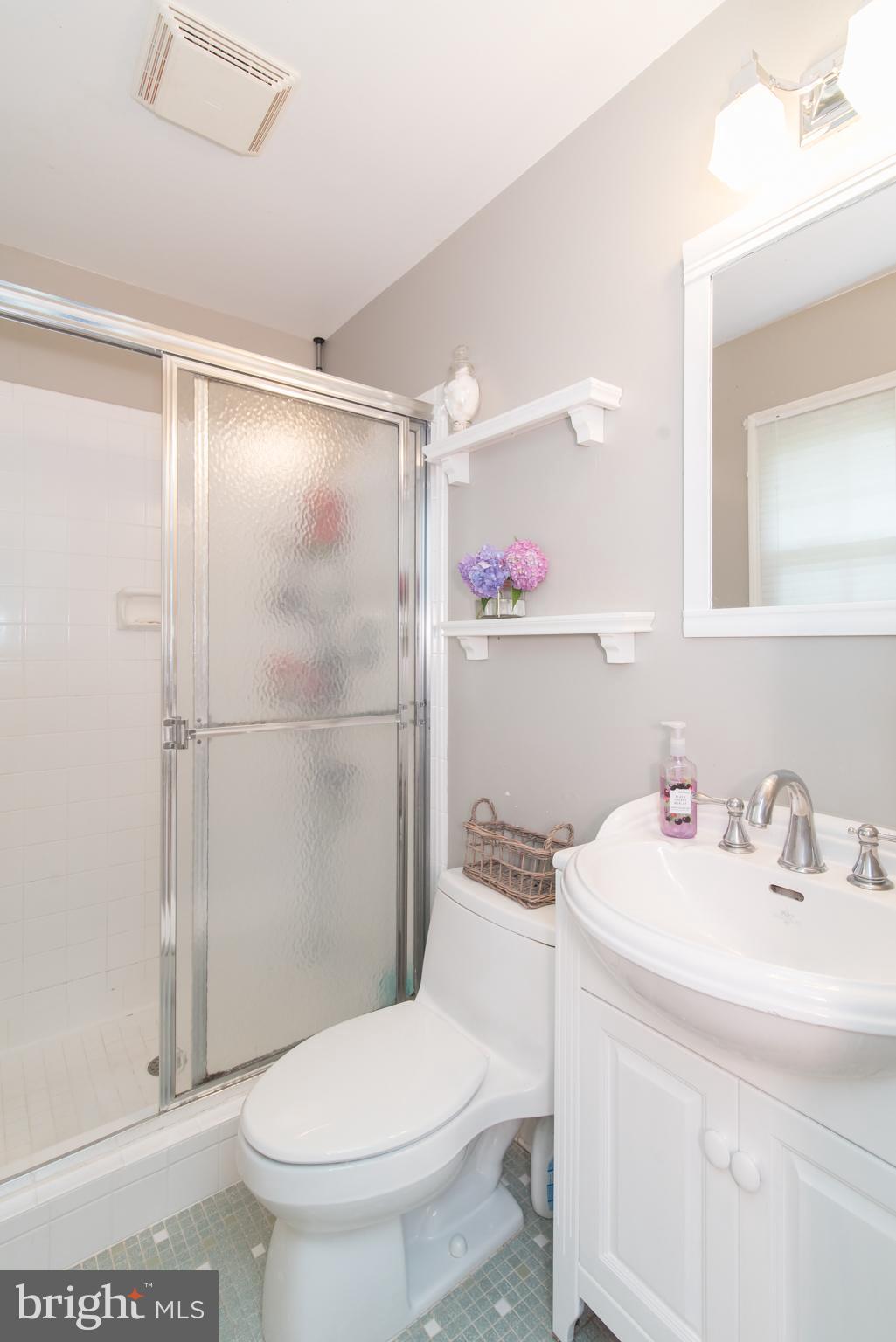 8235 Hilton Road Gaithersburg, MD 20882 - Photo 44 of 90 Primary ensuite bathroom with vintage tile