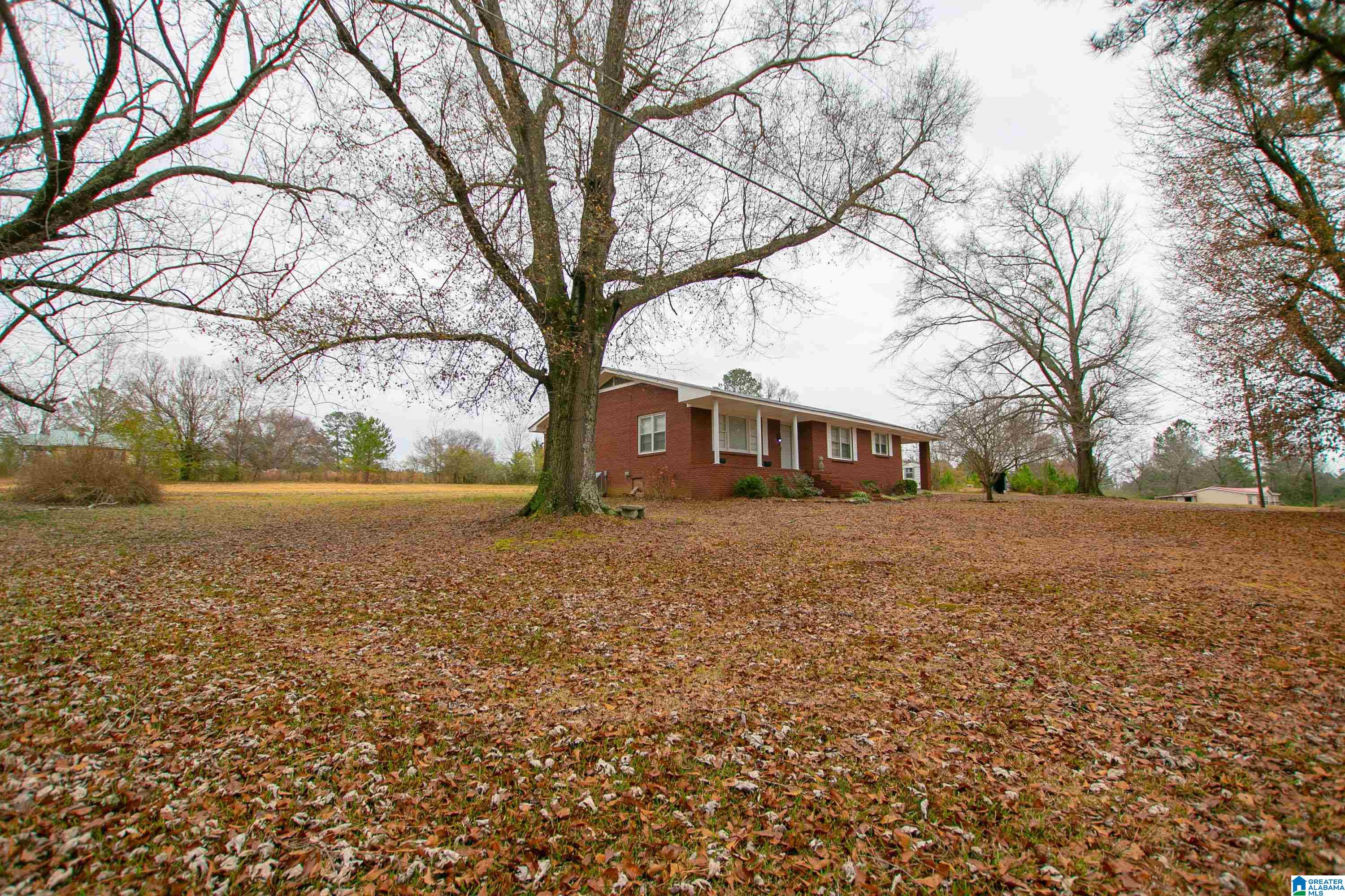 5252 Spunky Hollow Road Remlap, AL 35133 - Photo 49 of 58