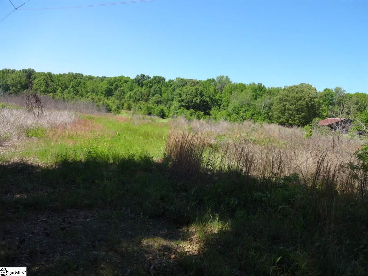 Browning Road Piedmont, SC 29673 - Photo 5 of 31 Gallery Image 5