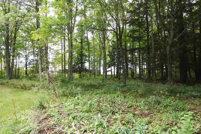 4585 Lalonde Road Standish, MI 48658 - Photo 37 of 45