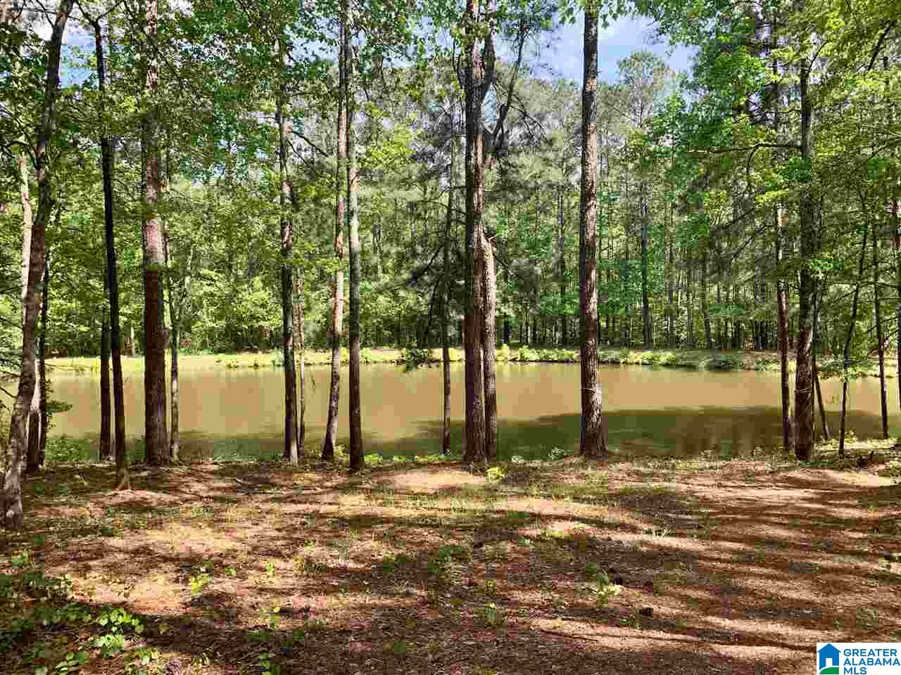 136 Holiday Lane Chelsea, AL 35043 - Photo 36 of 42