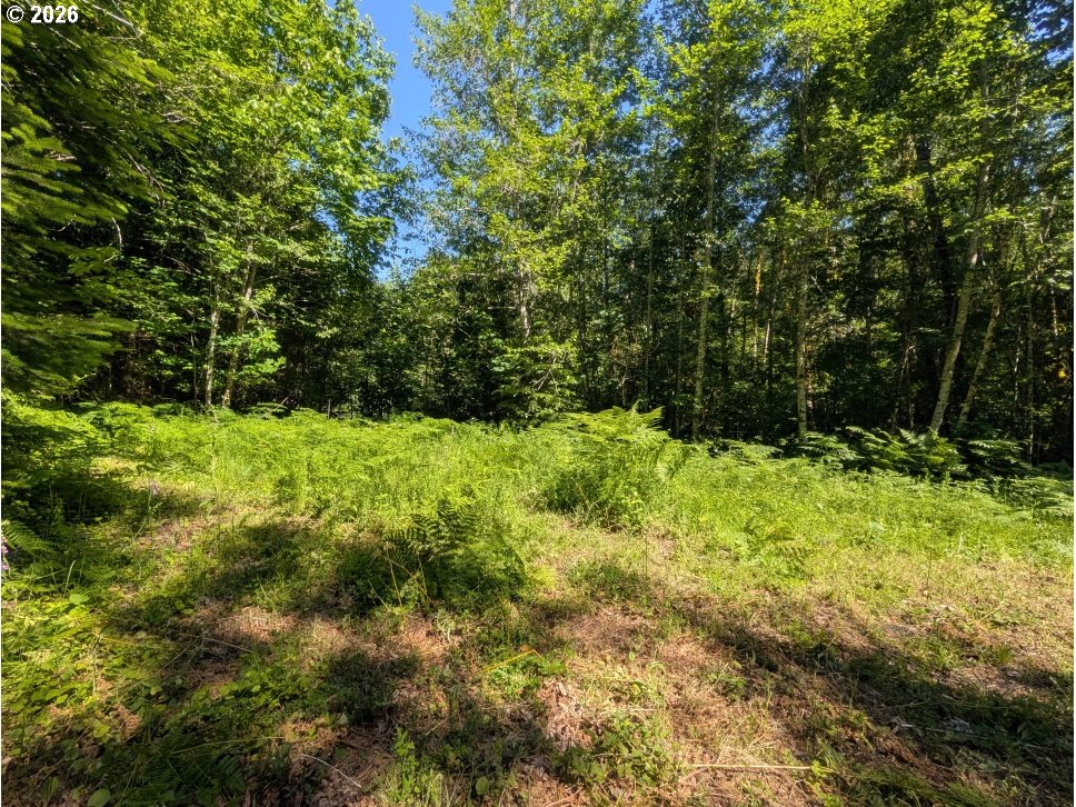 20284 East Carnarvon Road Rhododendron, OR 97049 - Photo 12 of 17