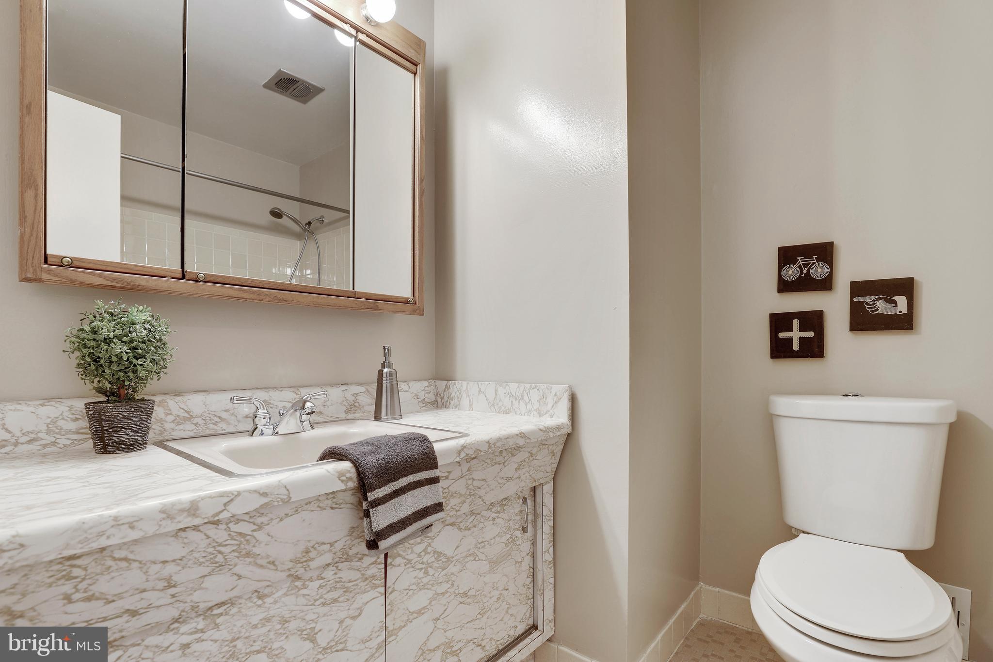 13113 Tamarack Road Silver Spring, MD 20904 - Photo 28 of 48
