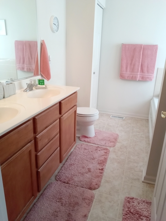 885 Eineke Boulevard Algonquin, IL 60102 - Photo 12 of 16 a bathroom with a sink a toilet and a mirror