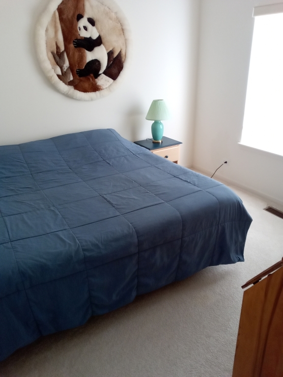 885 Eineke Boulevard Algonquin, IL 60102 - Photo 13 of 16 a bedroom with a bed and a window