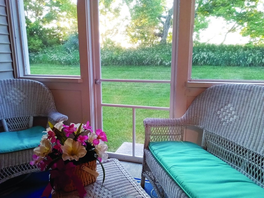 885 Eineke Boulevard Algonquin, IL 60102 - Photo 16 of 16 a garden view with a seating space