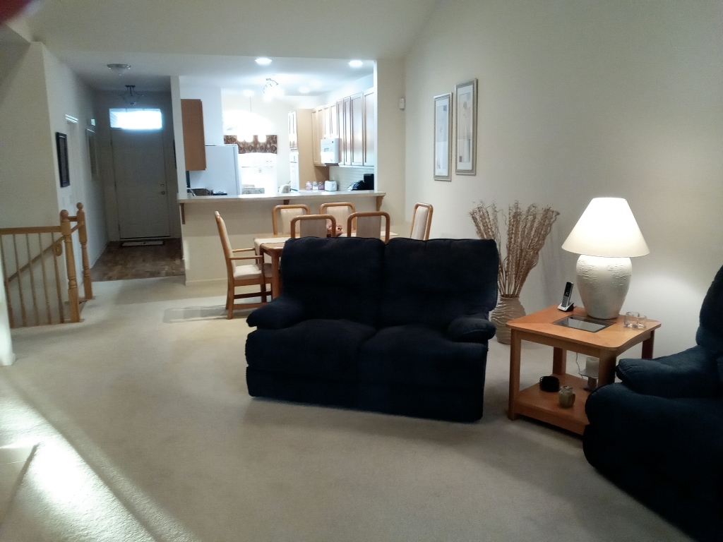 885 Eineke Boulevard Algonquin, IL 60102 - Photo 4 of 16 a living room with furniture and a lamp