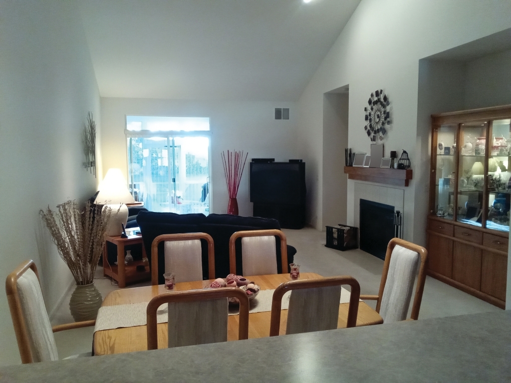 885 Eineke Boulevard Algonquin, IL 60102 - Photo 6 of 16 a living room with furniture a fireplace and a flat screen tv