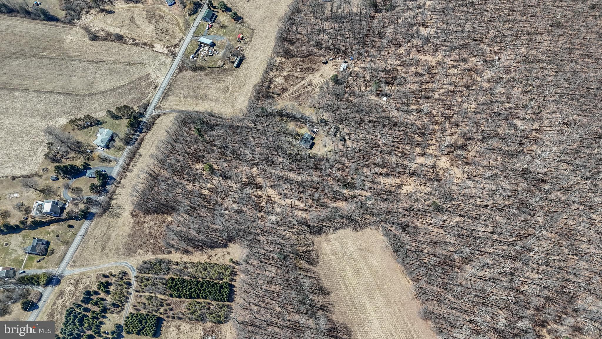 0 Back Road Barnesville, PA 18214 - Photo 3 of 22