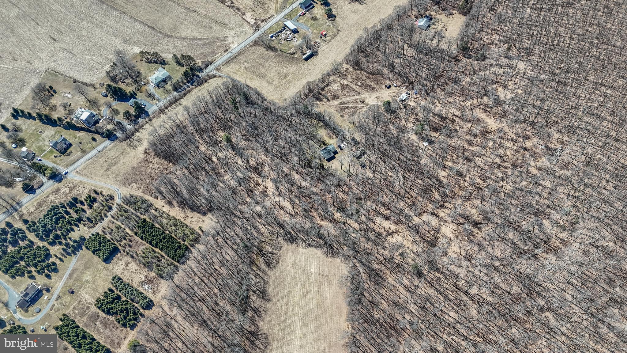 0 Back Road Barnesville, PA 18214 - Photo 4 of 22