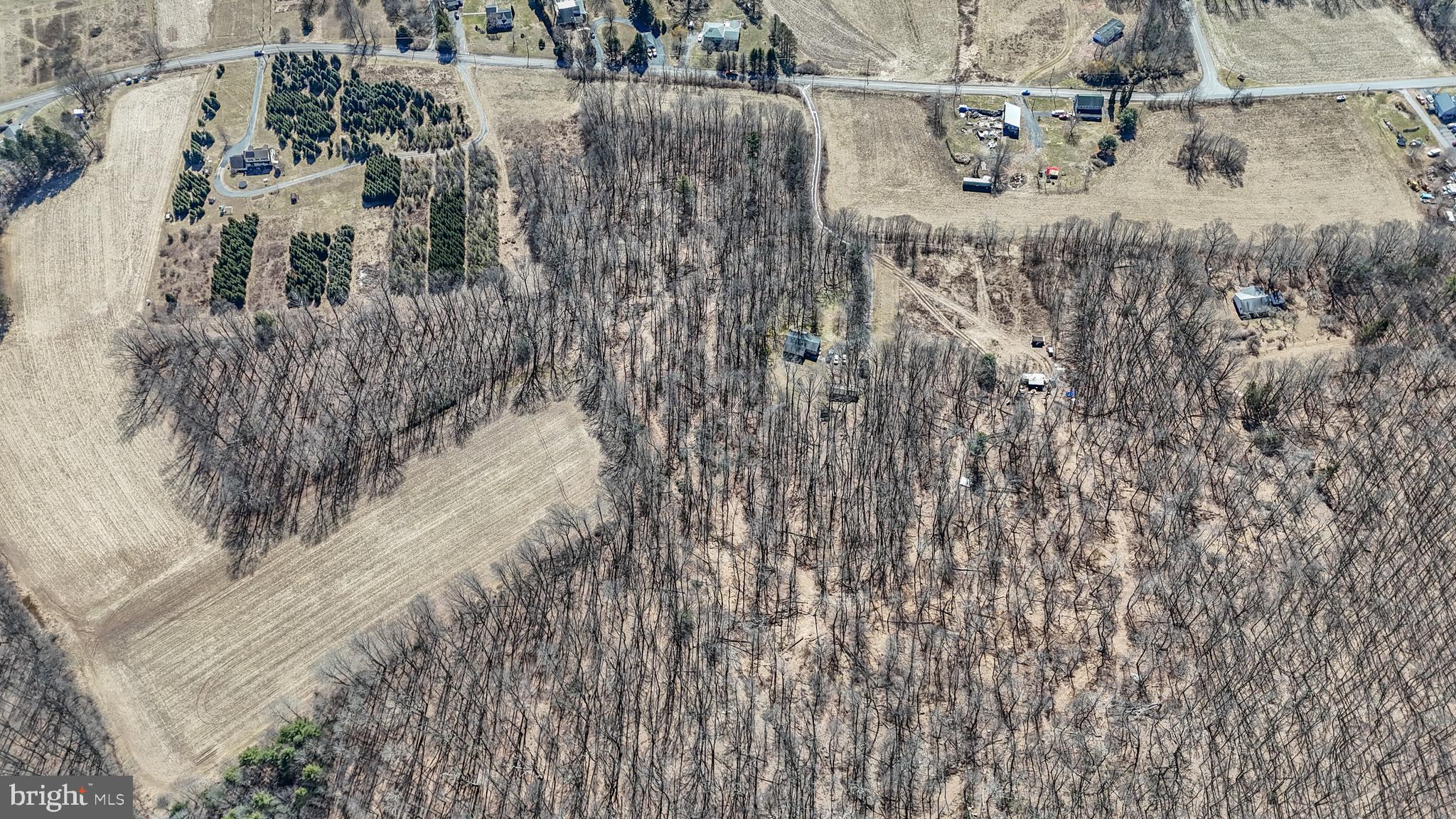 0 Back Road Barnesville, PA 18214 - Photo 5 of 22