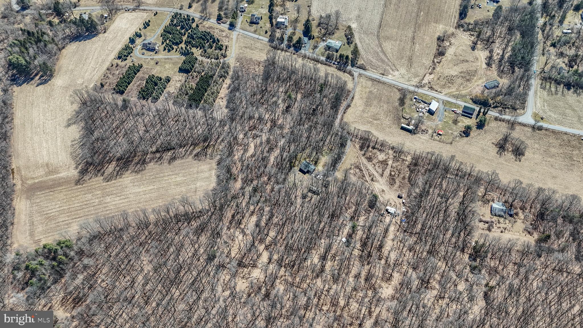 0 Back Road Barnesville, PA 18214 - Photo 6 of 22