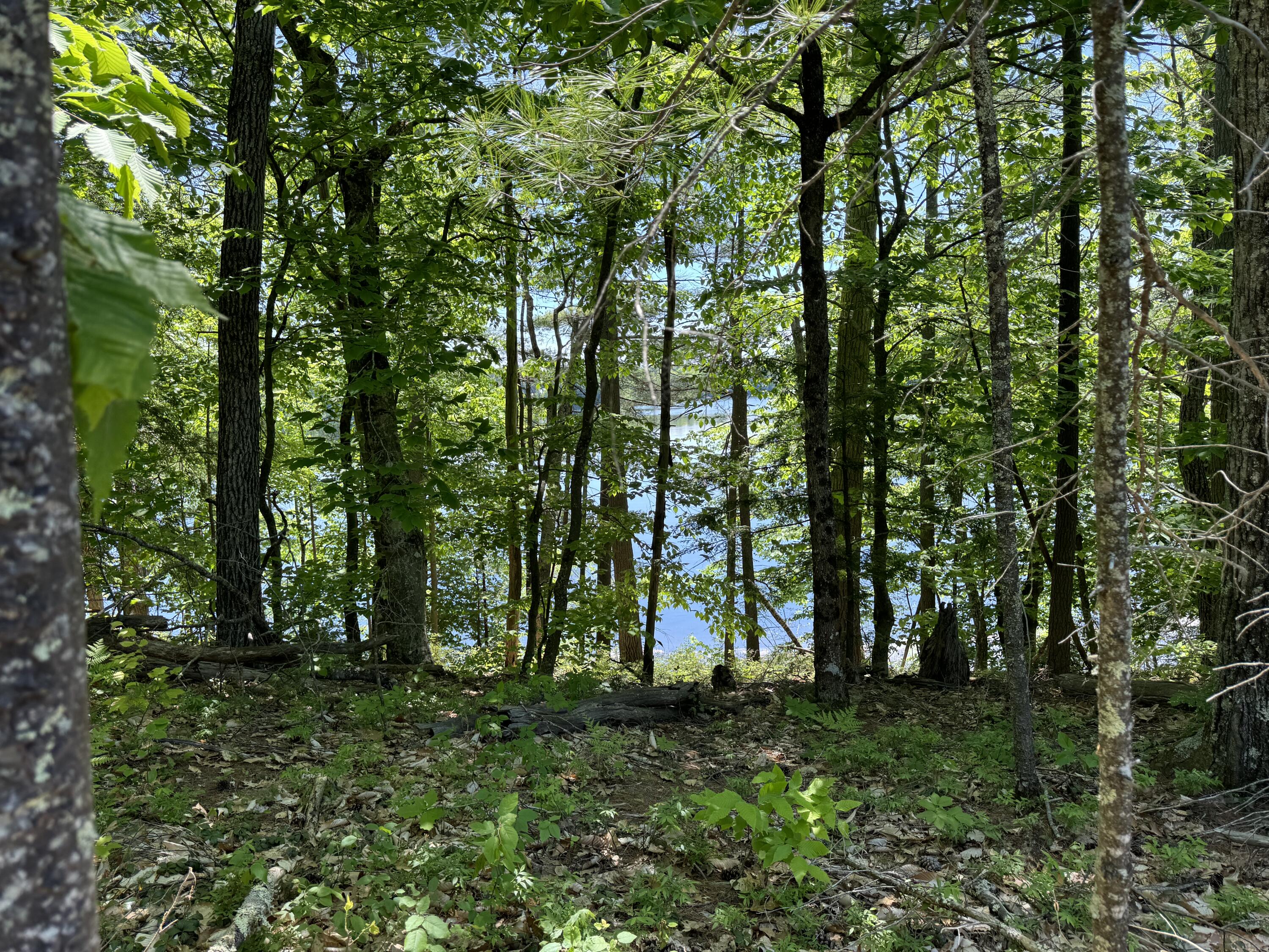 Lot 4 Sabbathday Road New Gloucester, ME 04260 - Photo 30 of 33 IMG_1928