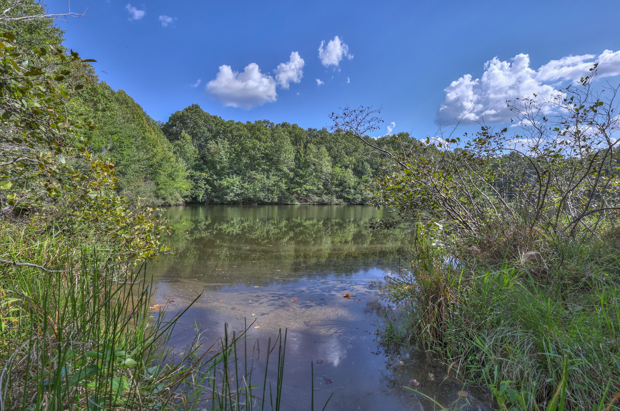 4000 Jumpoff Road Sewanee, TN 37375 - Photo 1 of 68 Gallery Image 1