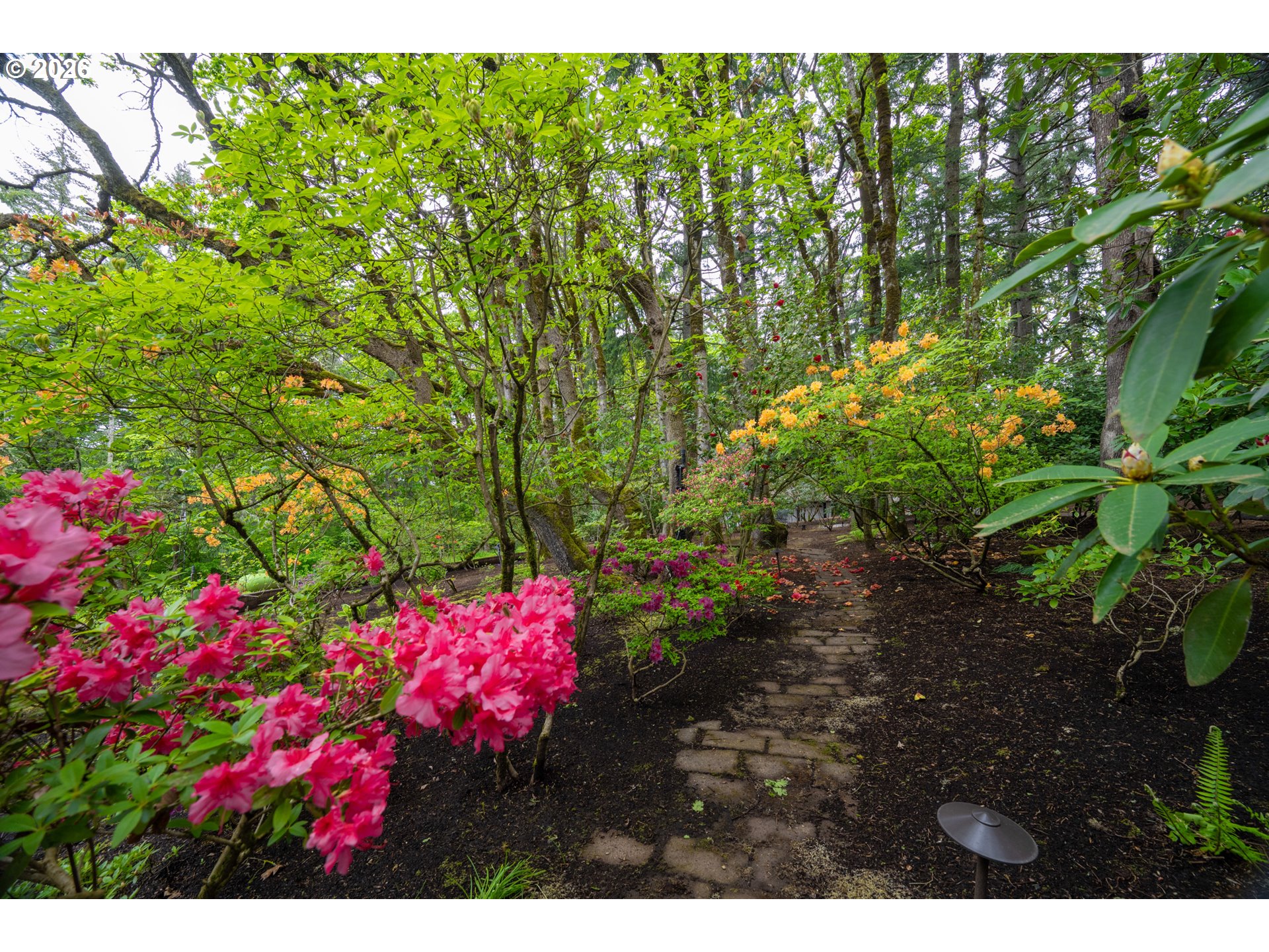 3187 Orchard Heights Road Northwest Salem, OR 97304 - Photo 4 of 48