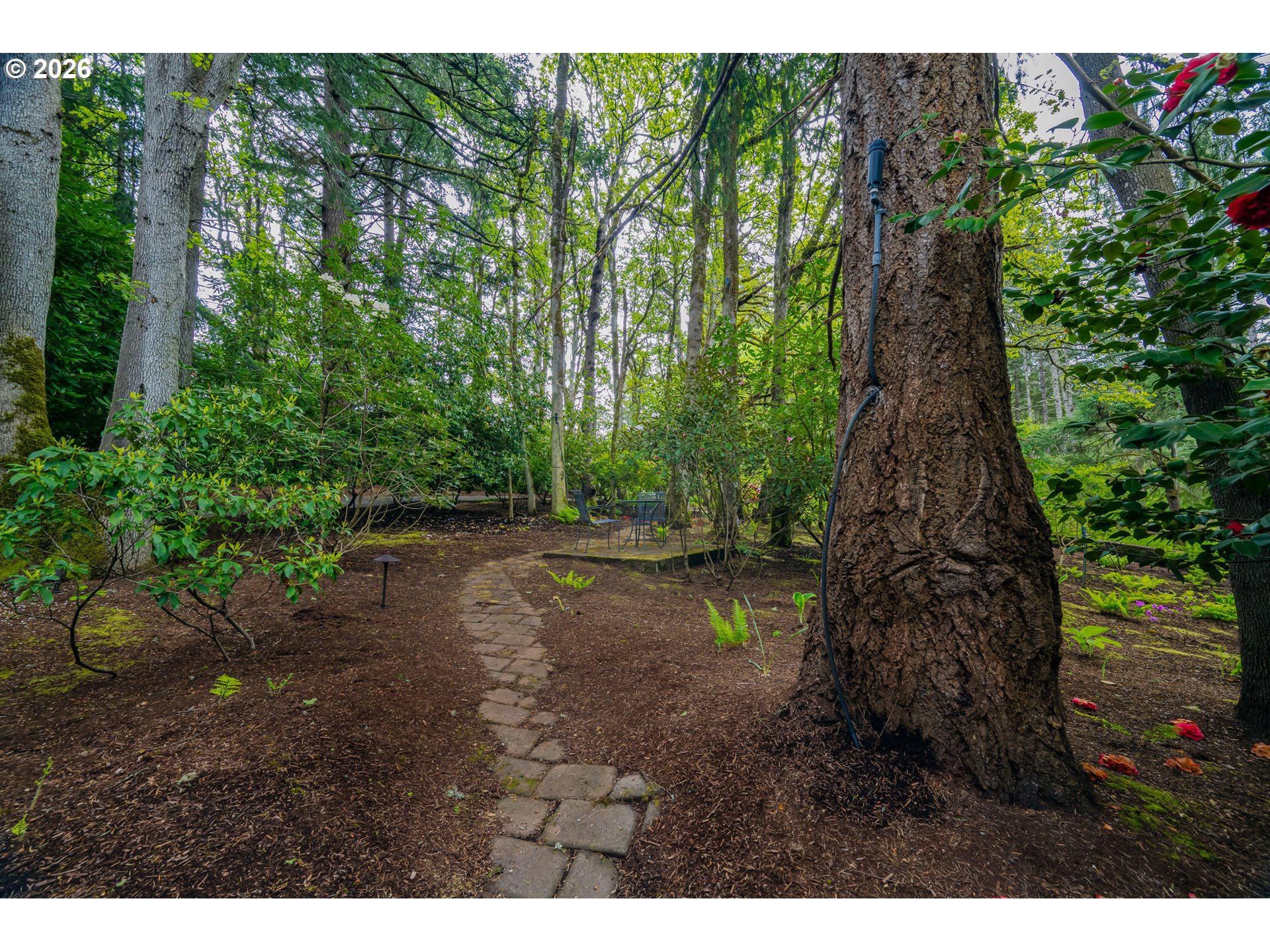 3187 Orchard Heights Road Northwest Salem, OR 97304 - Photo 5 of 48