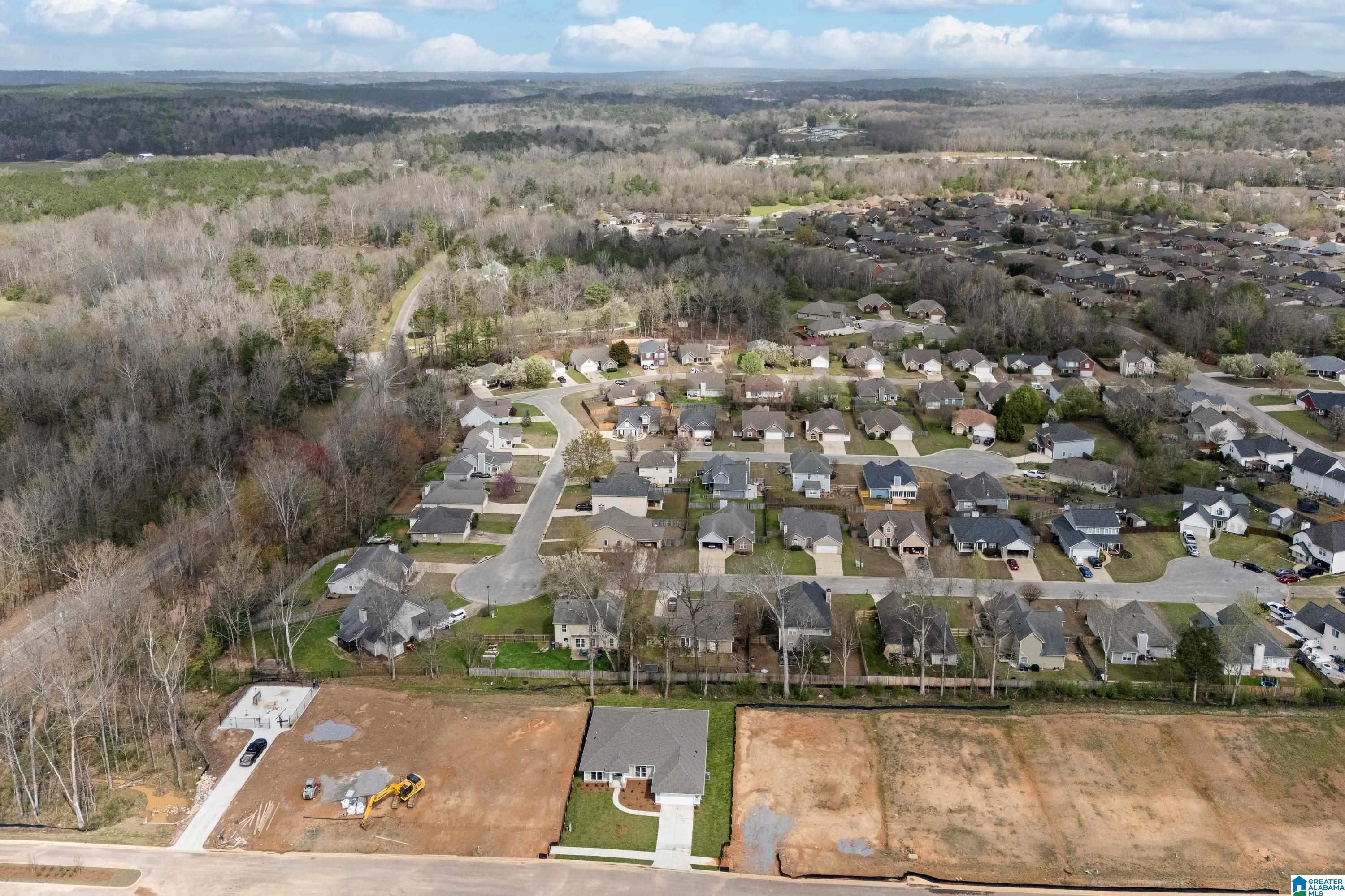 253 Alder Road Alabaster, AL 35114 - Photo 43 of 46