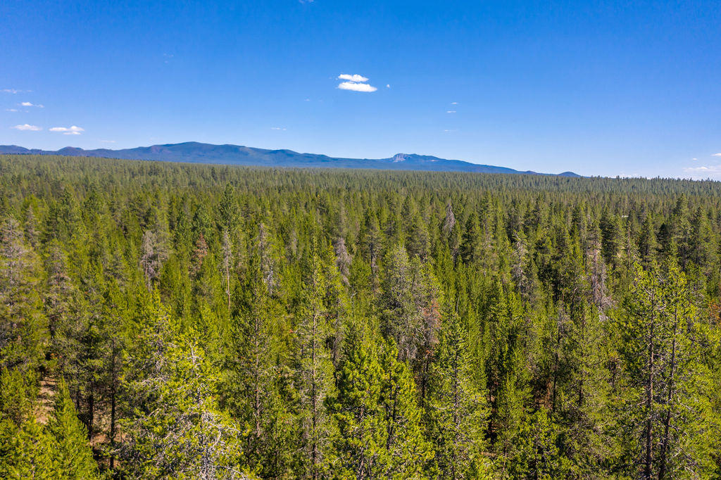 17605 Vandevert Road Bend, OR 97707 - Photo 17 of 34 17