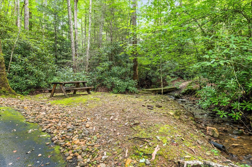 624 Pinnacle Vista Road Gatlinburg, TN 37738 - Photo 33 of 33 Gallery Image 33