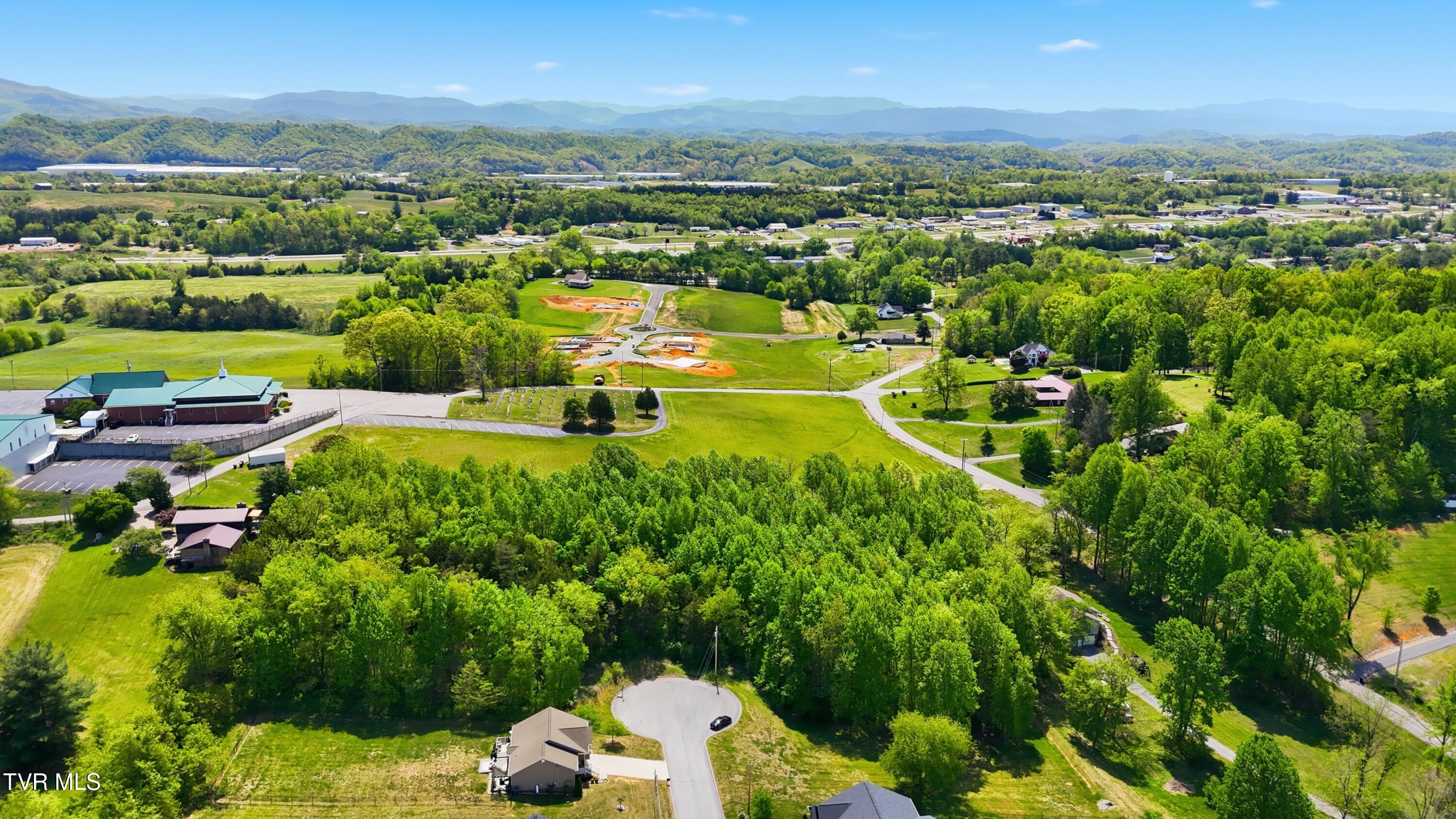 2445 Poplar Ridge Court, Unit 10 Piney Flats, TN 37686 - Photo 3 of 9 dji_20260422122911_0221_d