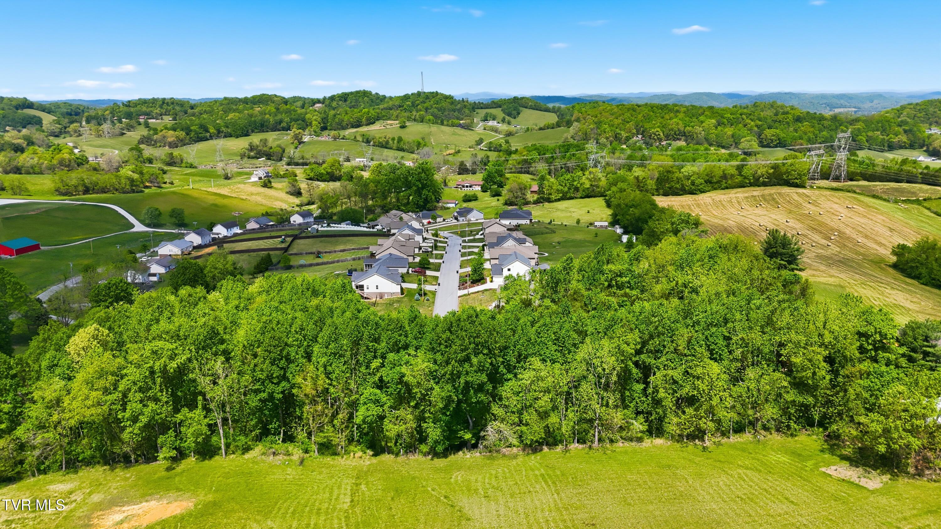 2445 Poplar Ridge Court, Unit 10 Piney Flats, TN 37686 - Photo 9 of 9 dji_20260422122952_0223_d