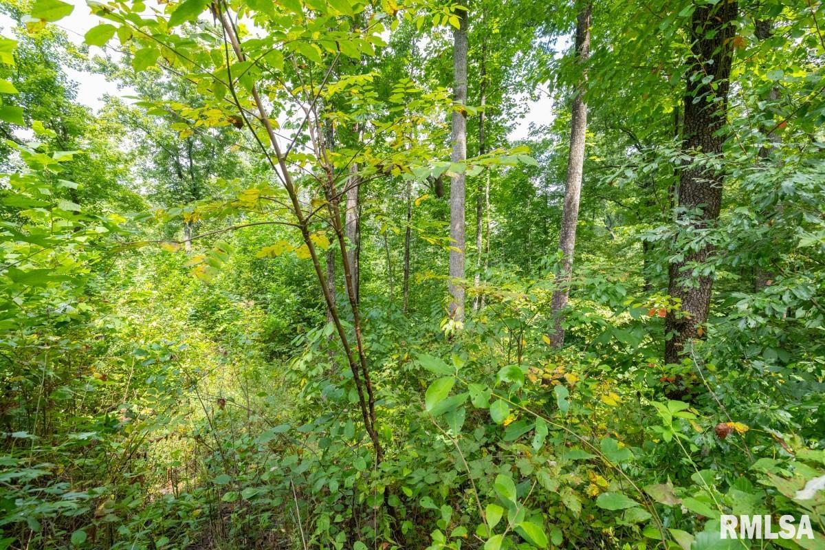 0 Hawkins Road Vienna, IL 62995 - Photo 26 of 36 Gallery Image 26