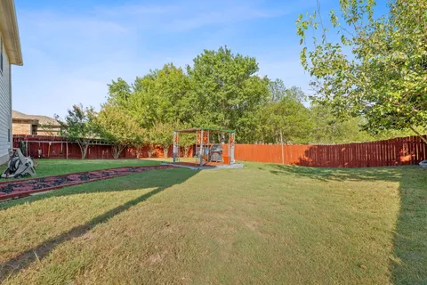 a view of a park with large trees and plants