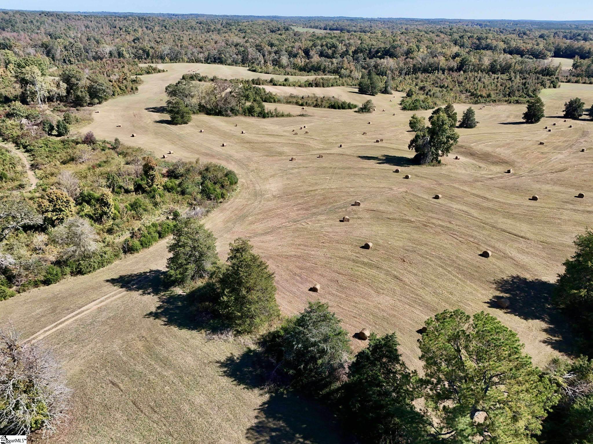 258 Dupree Farm Road Buffalo, SC 29321 - Photo 1 of 15