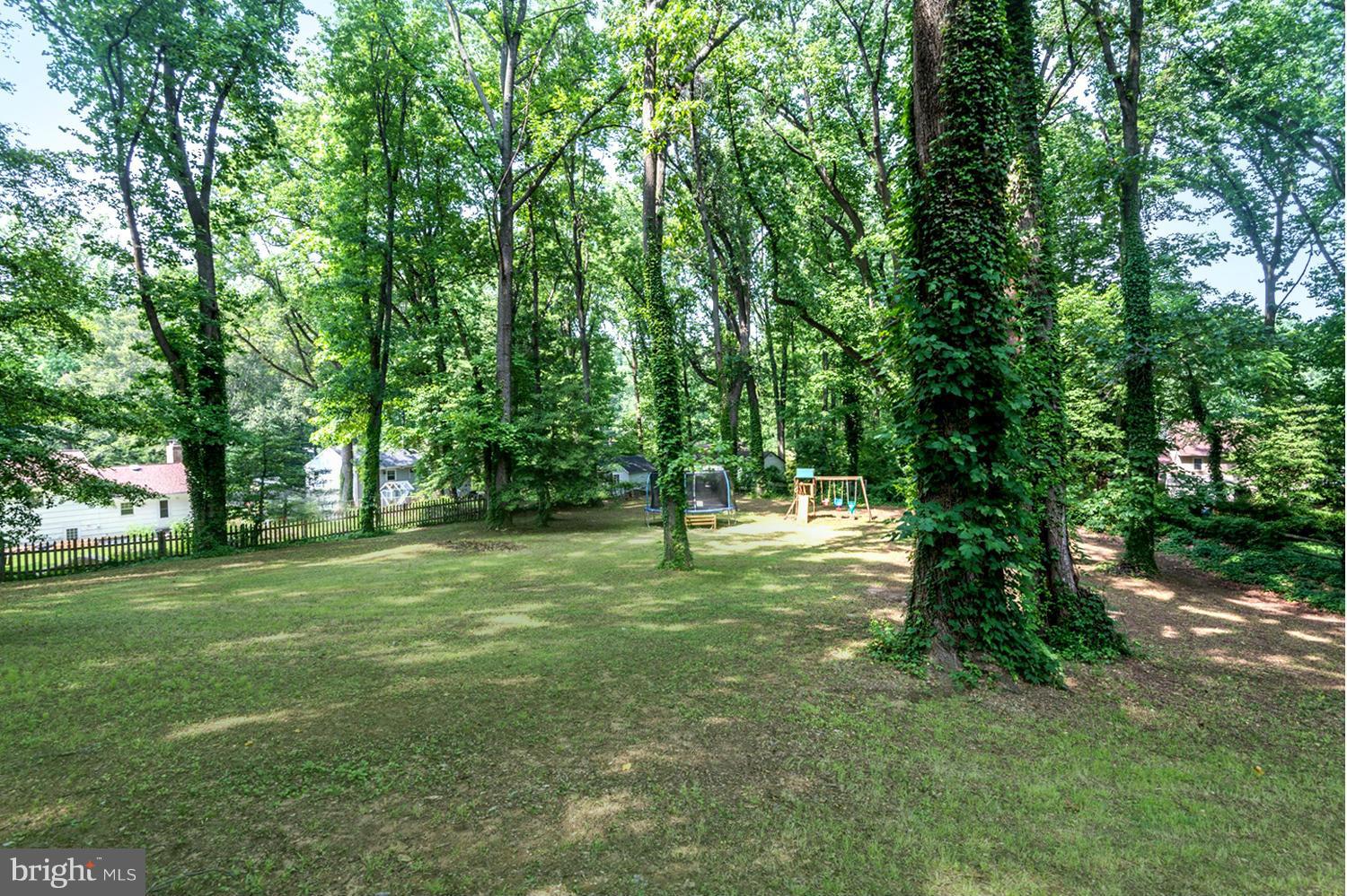 1240 Maple Road Arnold, MD 21012 - Photo 18 of 30 Natural Privacy Fence of Lofty Shade Trees